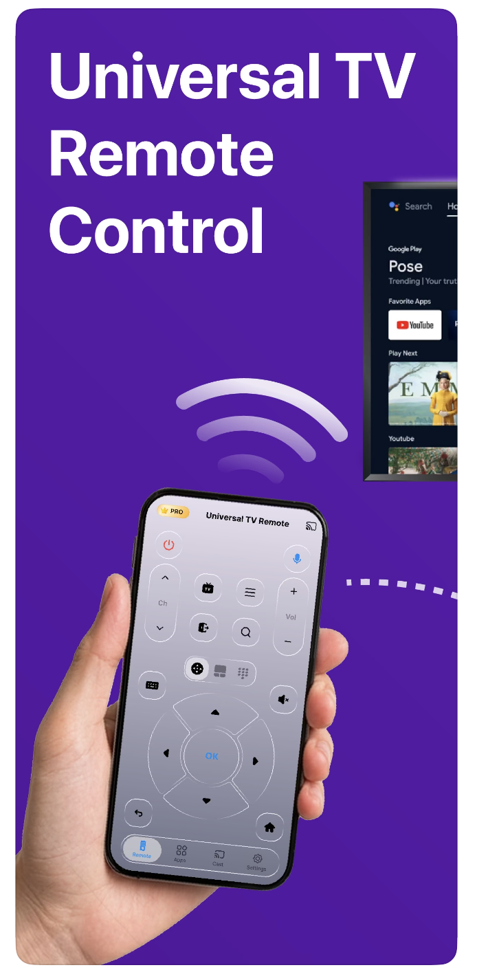 Universal TV Remote